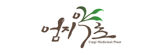 상단 로고